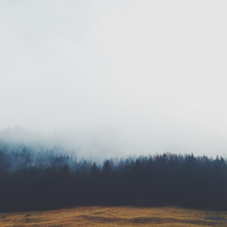 Nature travel hero image